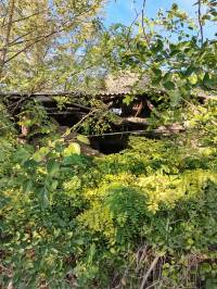 Могут ли снять с учёта ранее жилой дом который обрушился