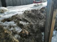 Нормы и требования к дорогам в СНТ